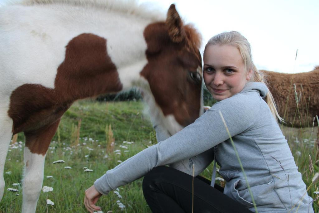 Skjaldarvik Guesthouse Akureyri Kültér fotó