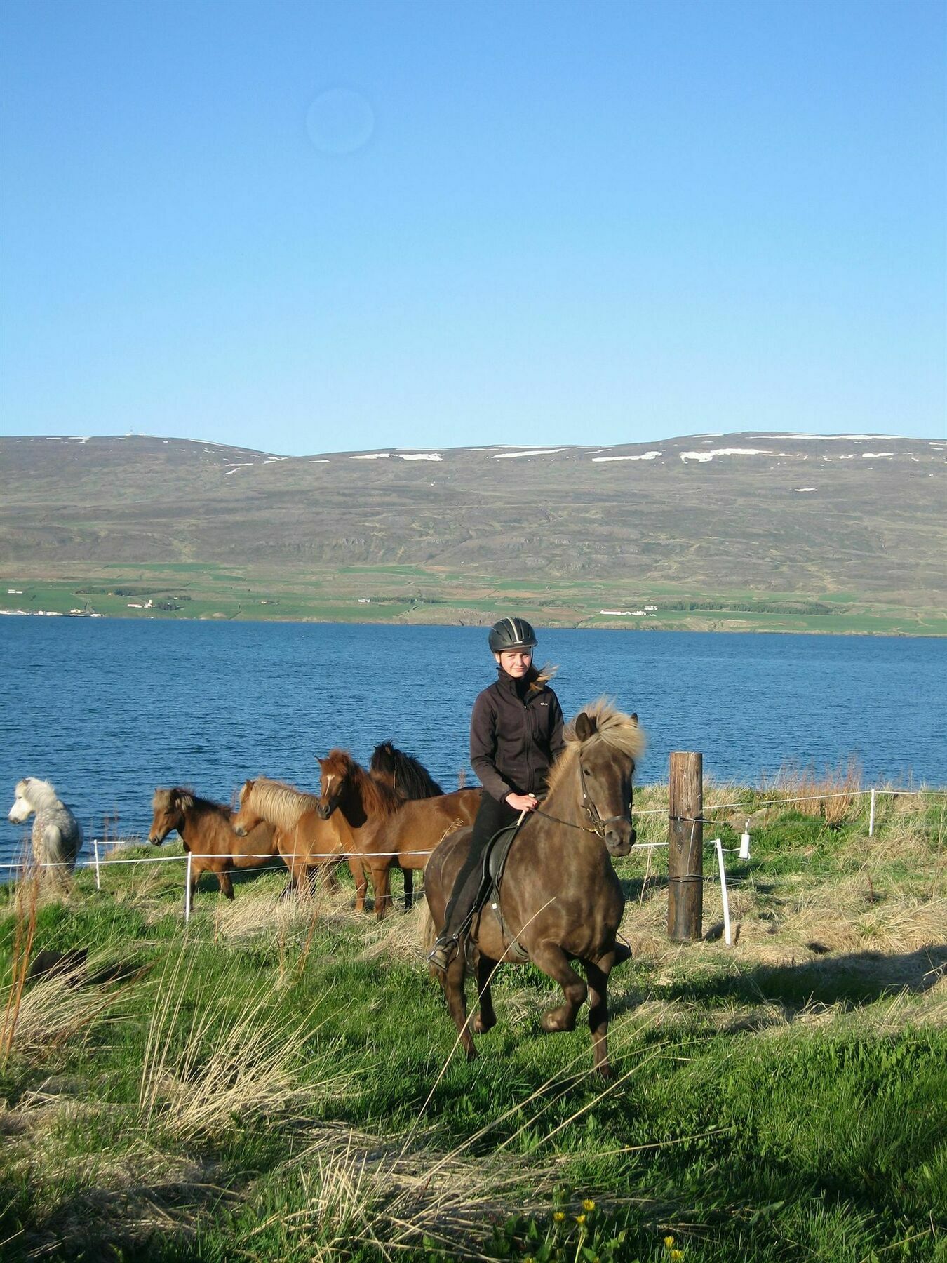 Skjaldarvik Guesthouse Akureyri Kültér fotó